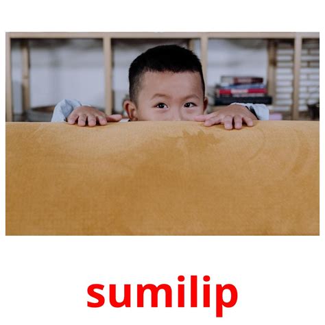 Sumilip in English: Definition of the Tagalog verb sumilip.